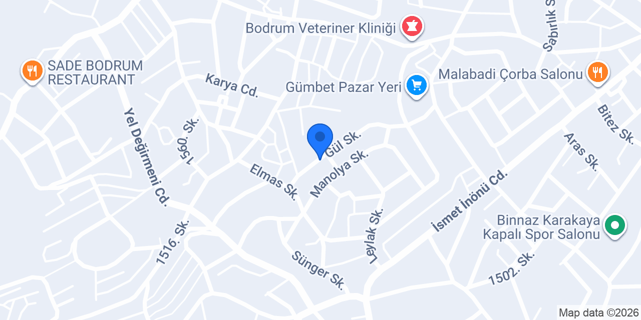 Bodrum Karot Kesim konumu