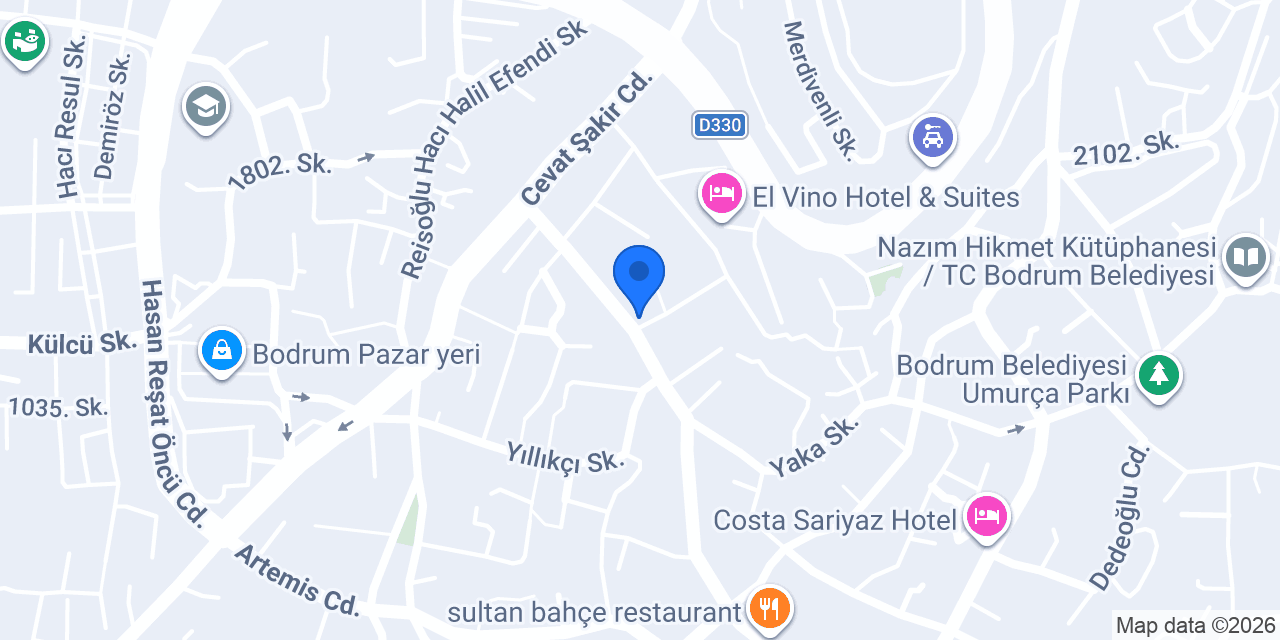 Yurtiçi Kargo Halikarnas konumu
