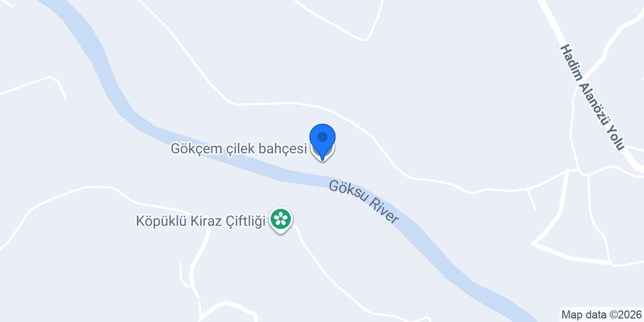 Gökçem çilek bahçesi konumu