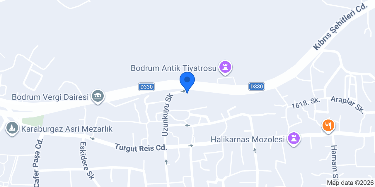 Bodrum Yücelen Hayvan Hastanesi konumu
