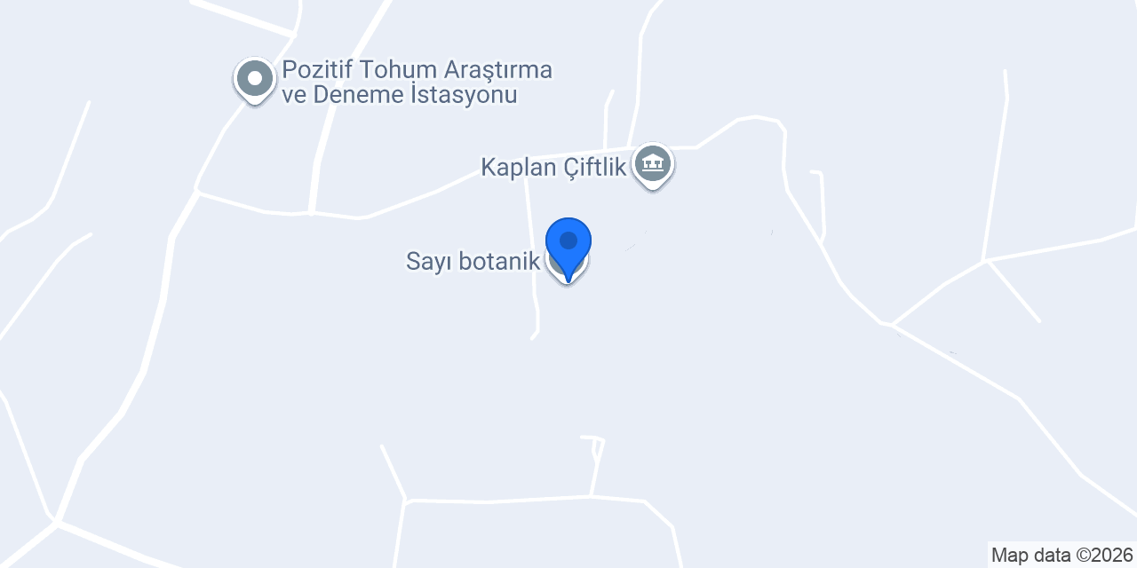 Sayı botanik konumu
