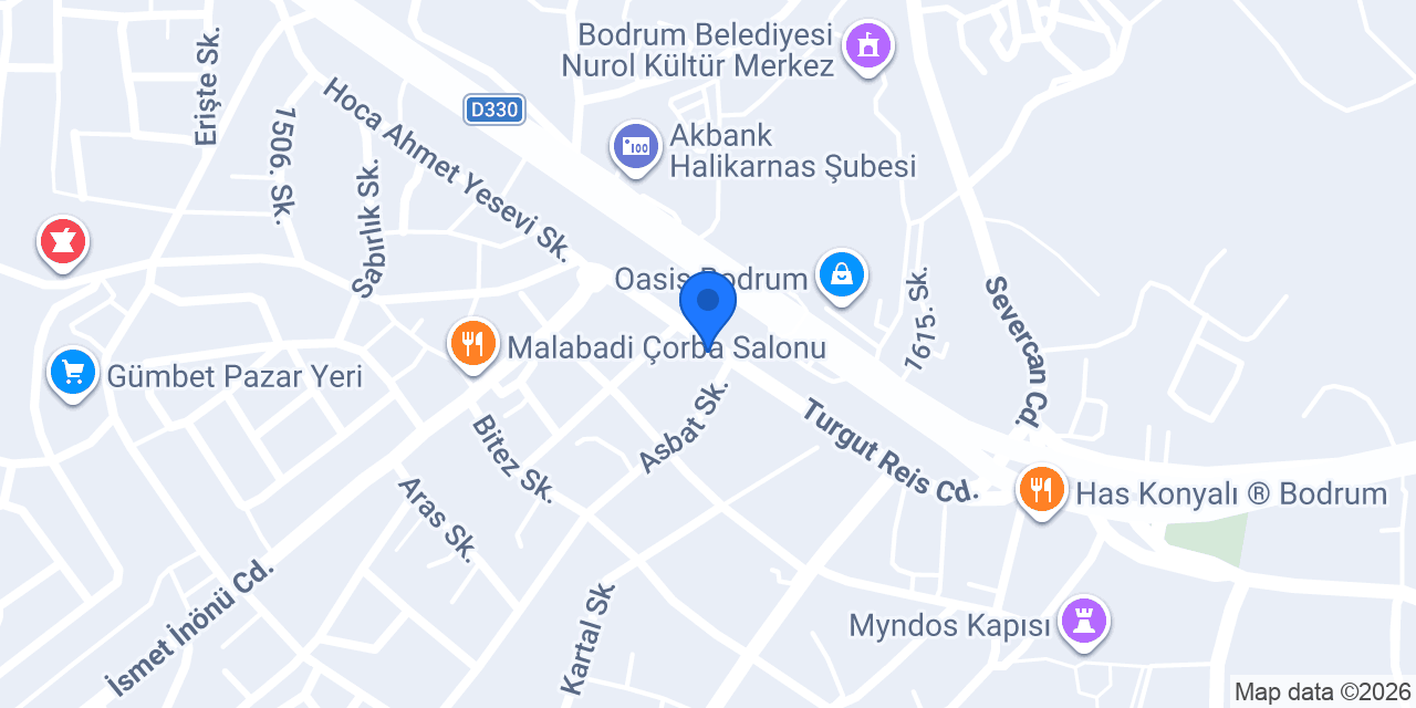 Palmiye Berber konumu