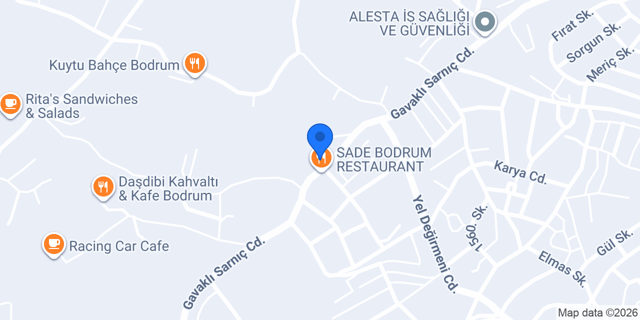 Bodrum Bahçeşehir Koleji konumu