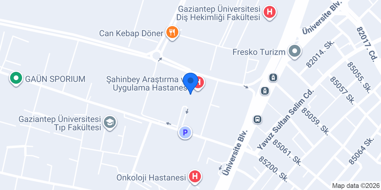 Doç.Dr.Muhammed Hanifi BADEMKIRAN konumu