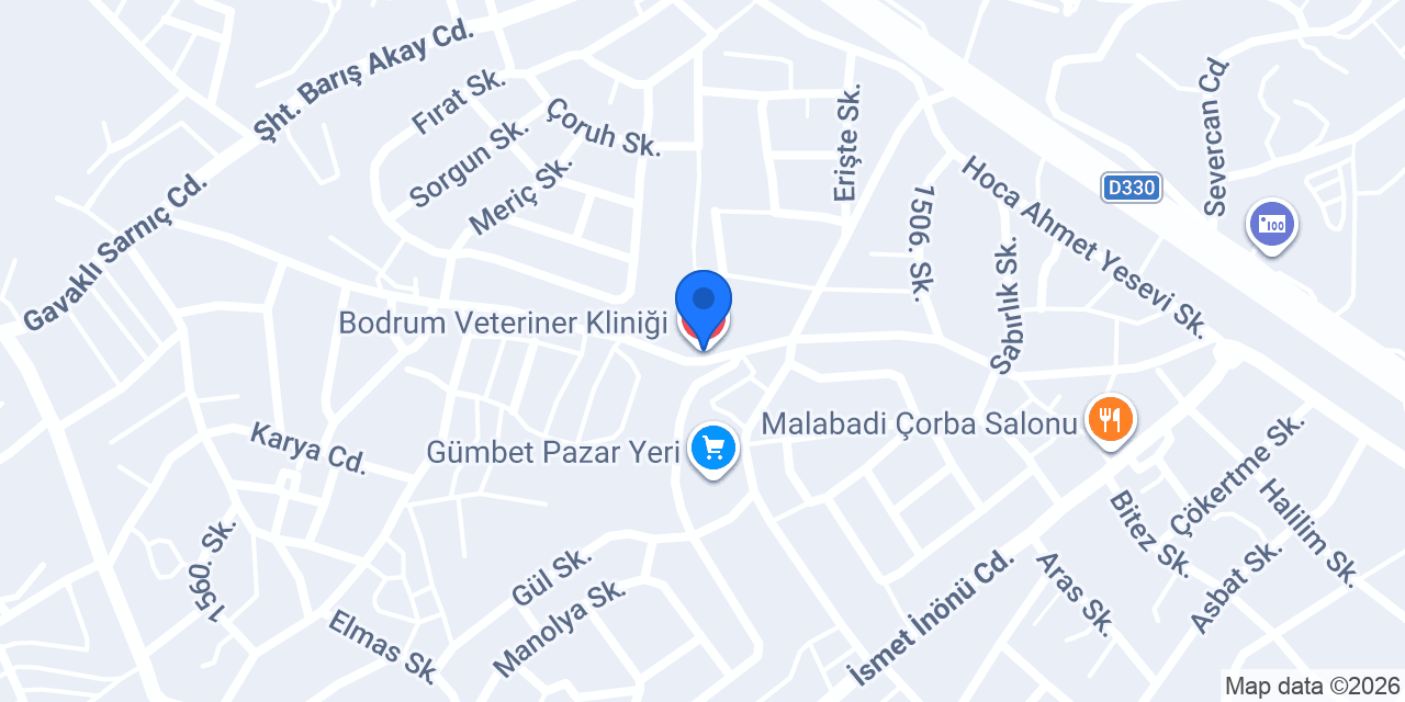 Bodrum Veteriner Kliniği konumu