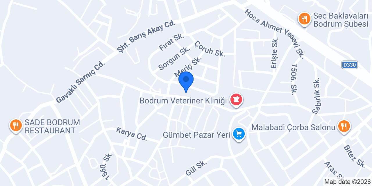 Turkish Property International konumu