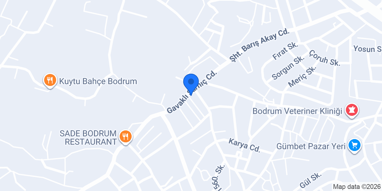 Taylan Tekel Market konumu
