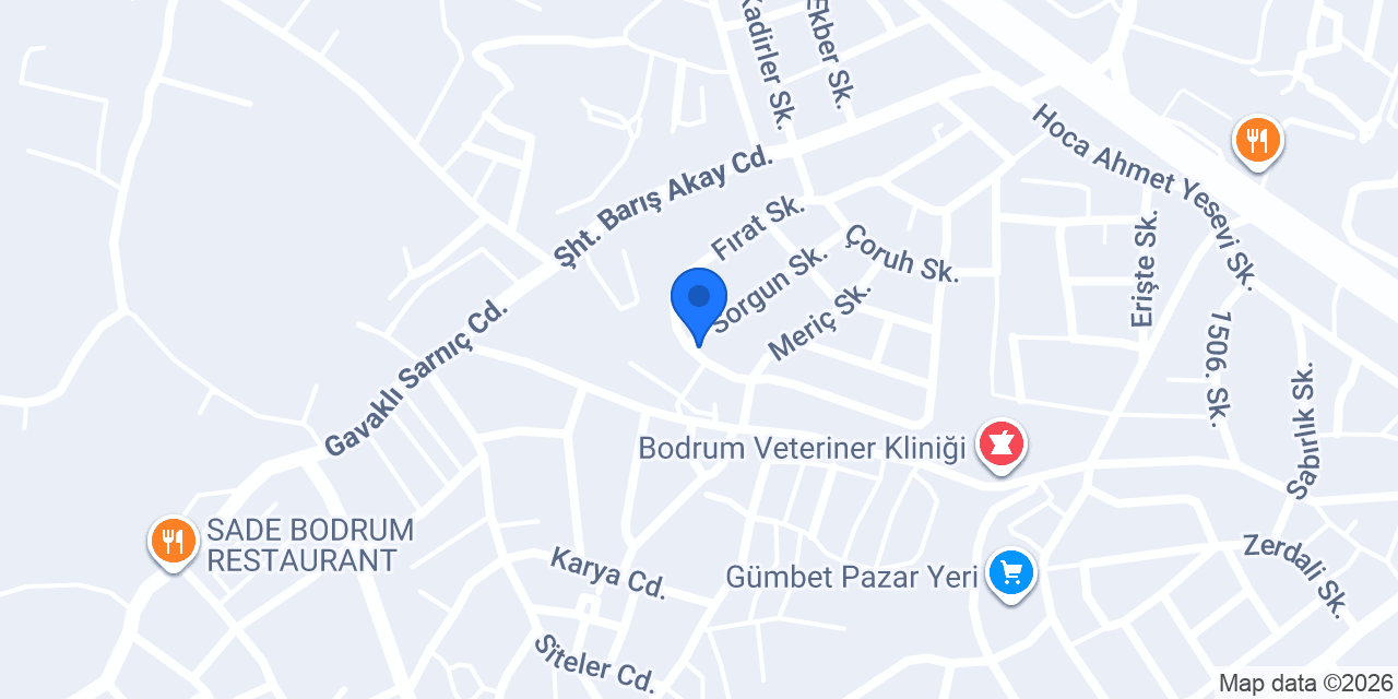 Bodrum Rent a Car Bodrumda Oto Kiralama konumu