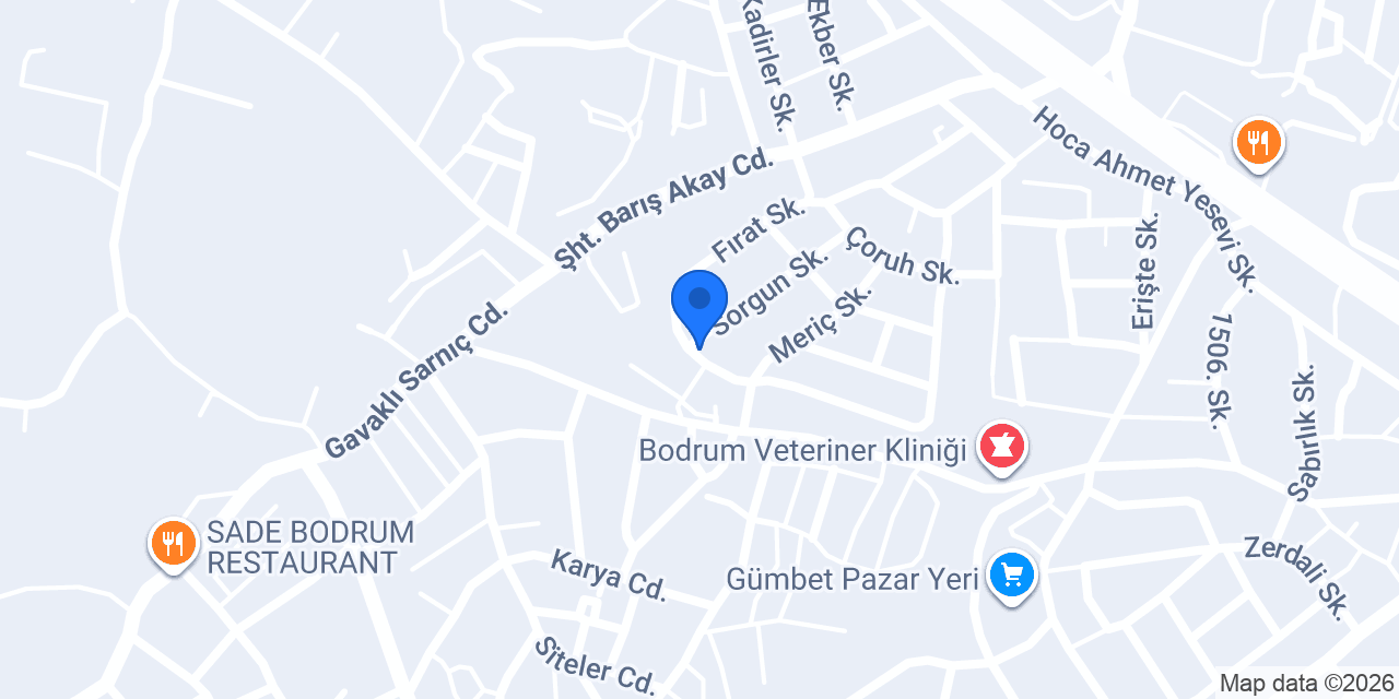 BODRUM COMFORT TRAVEL AGENCY konumu