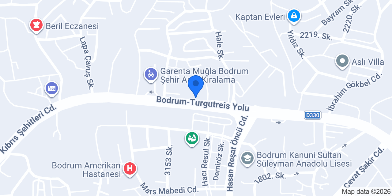 Bodrum Veteriner PetTerapi Veteriner Kliniği konumu