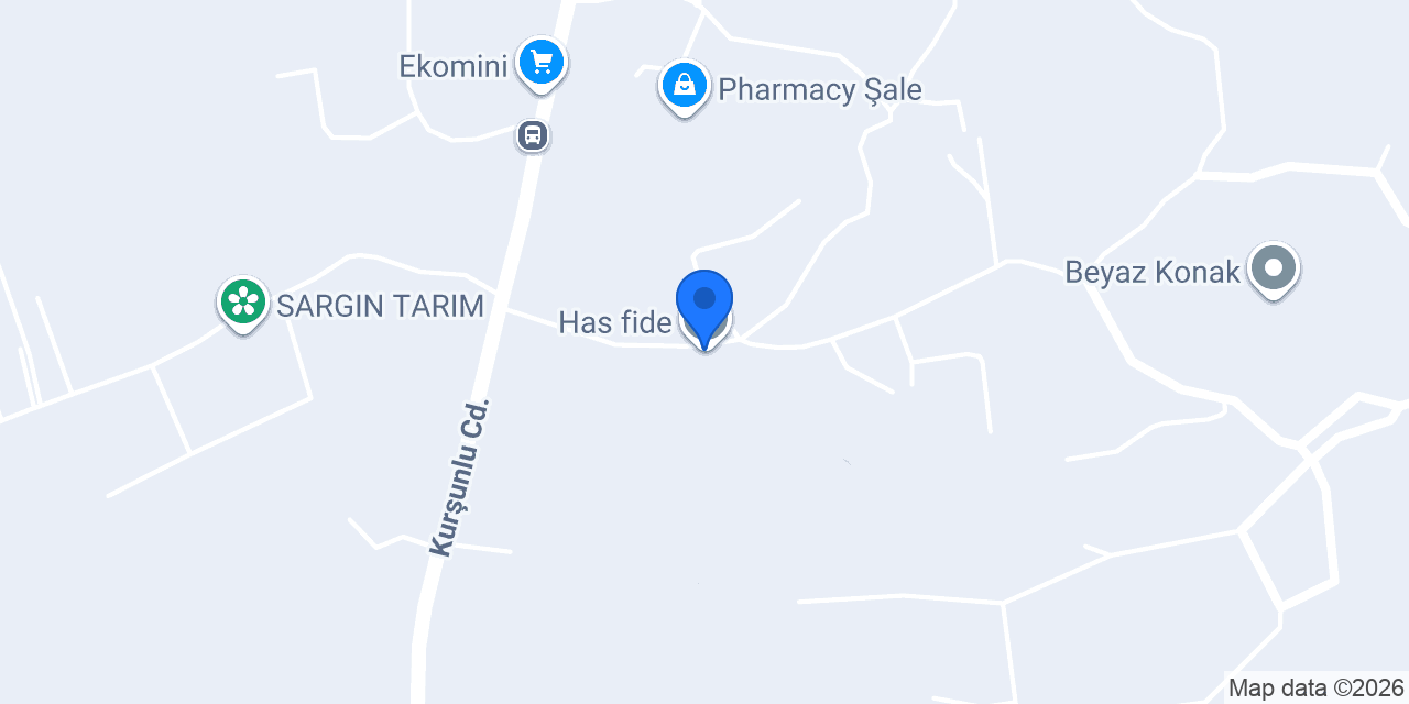 Has fide konumu