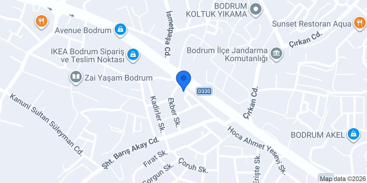 BODRUM VETERİNER - VETMASTERS Veteriner kliniği konumu