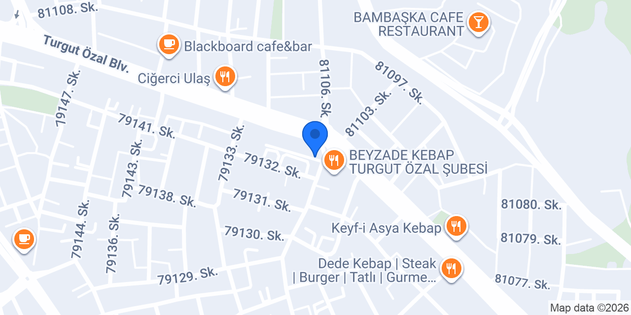 Adana Geometri Özel Ders konumu