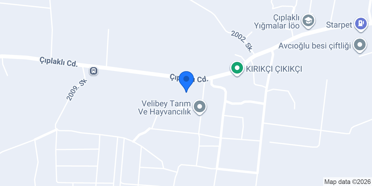 Torun Besicilik konumu