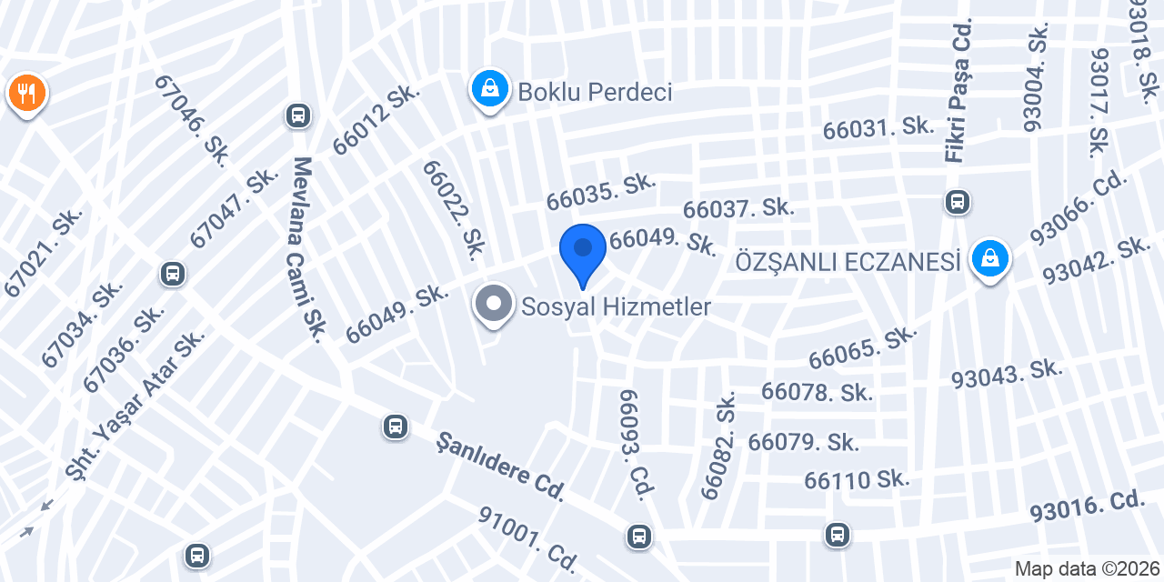 Sevgi Erkek Berberi konumu