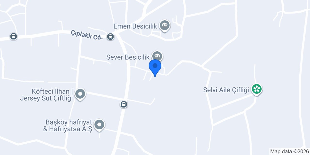 Elmas Besicilik ve Süt konumu