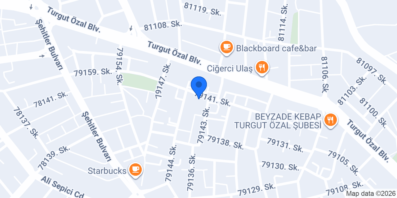 EGE MOTORS ADANA konumu