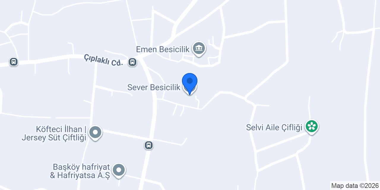 Sever Besicilik konumu