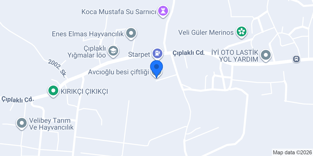 Avcıoğlu besi çiftliği konumu