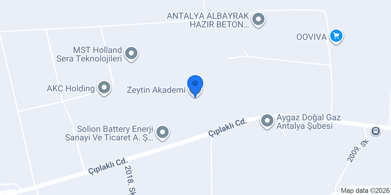 Zeytin Akademi konumu