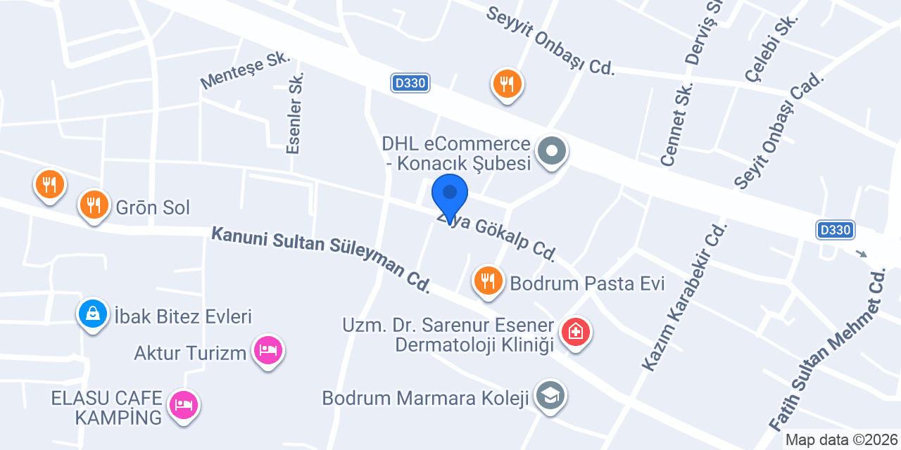 Novalingua konumu