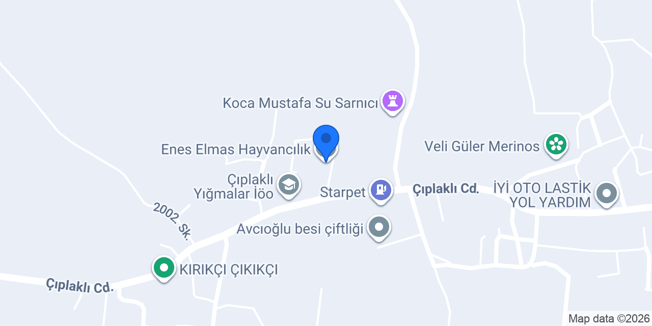 Enes Elmas Hayvancılık konumu