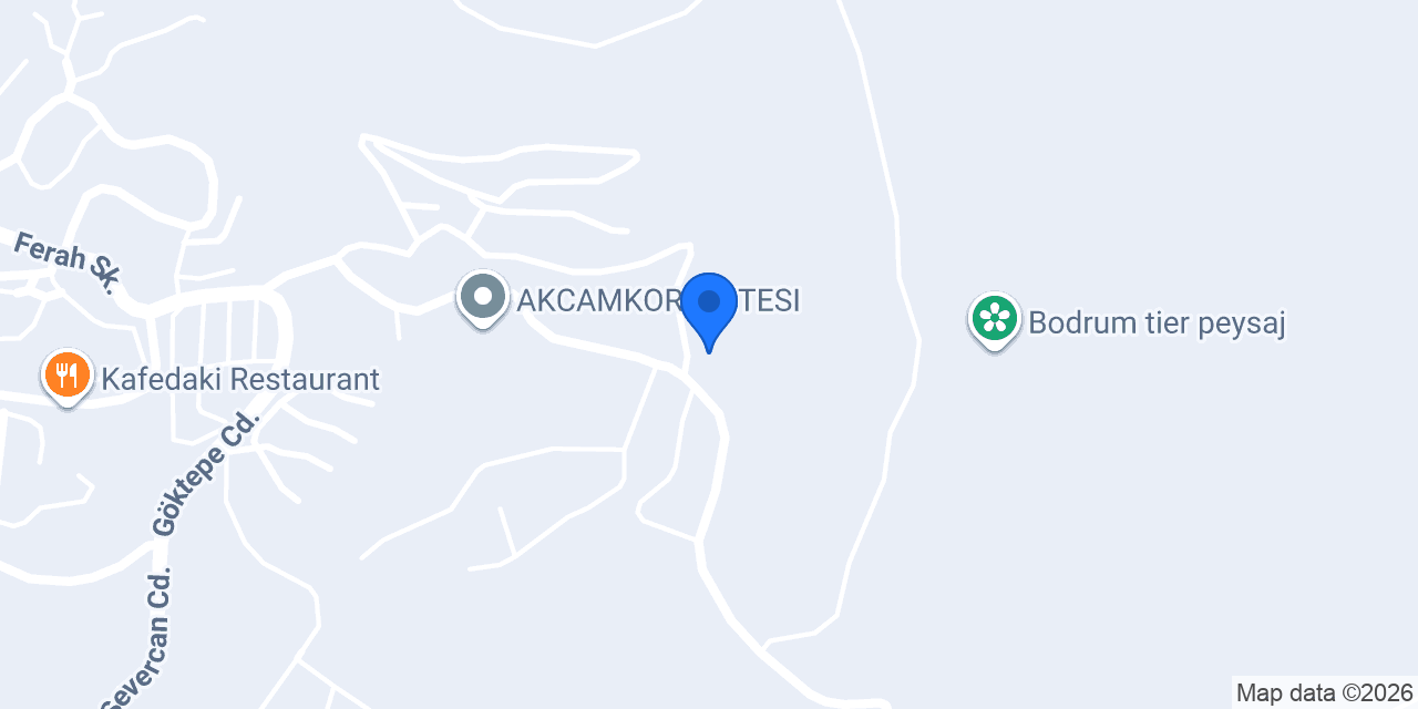 M/S Caustic konumu