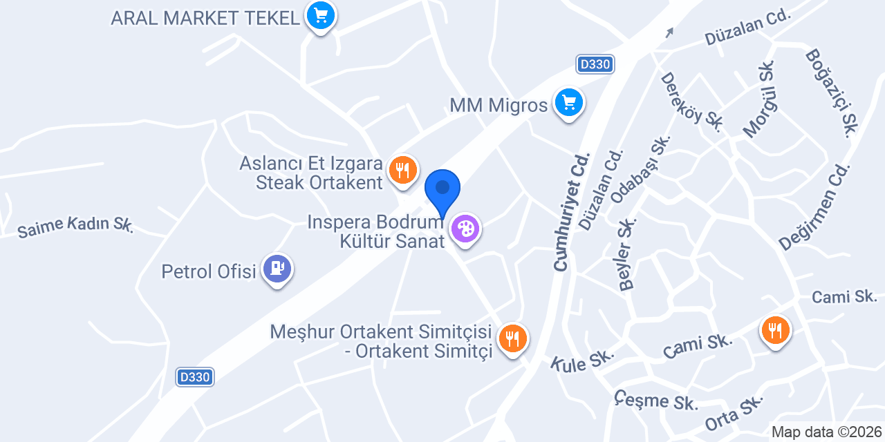 Ditto Akademi konumu