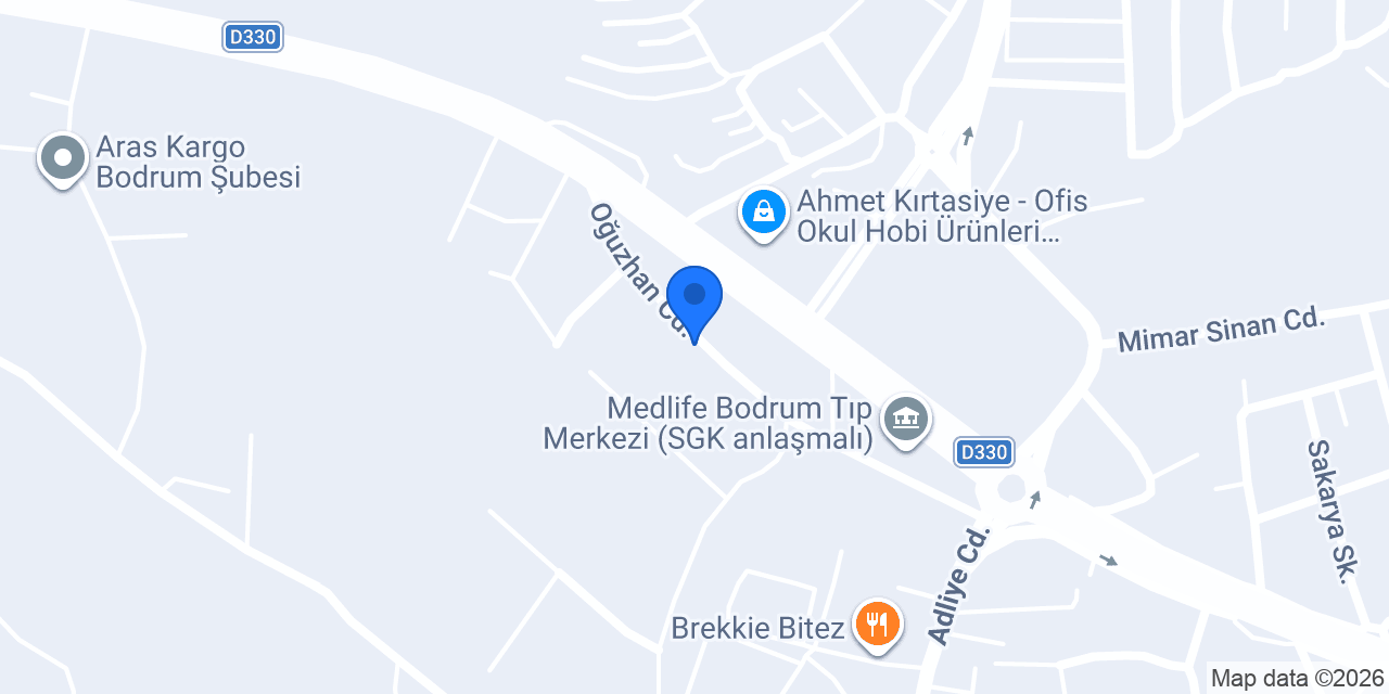 Dr. Dolay ÖZDİNÇ GÖĞÜŞ konumu