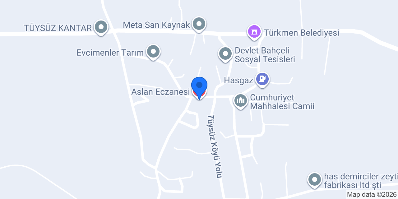 Aslan Eczanesi konumu