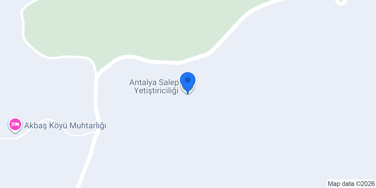 Antalya Salep Yetiştiriciliği konumu
