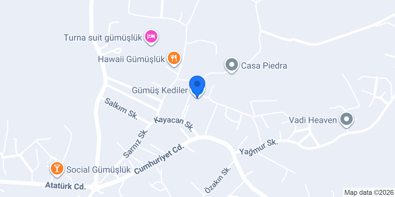Gümüş Kediler konumu
