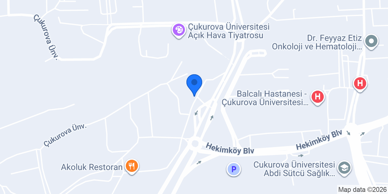 Erkek Berberi konumu