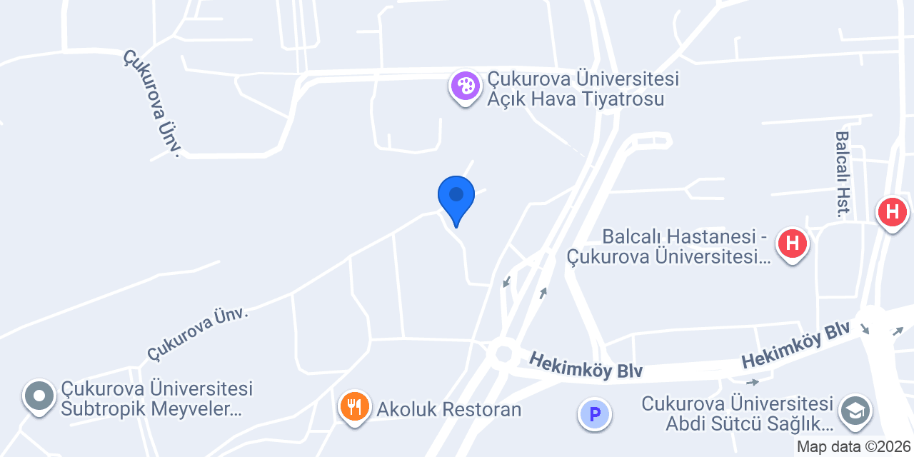 Tez Yazdırma Merkezi konumu