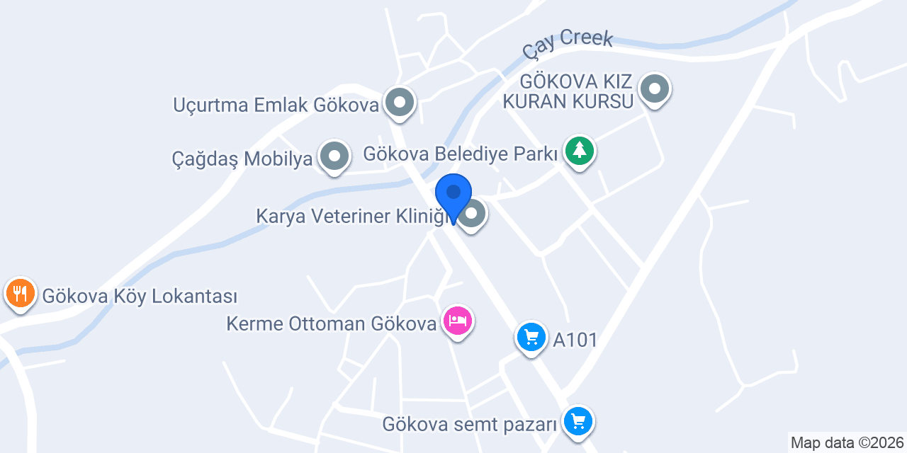Hayal pastahanesi konumu