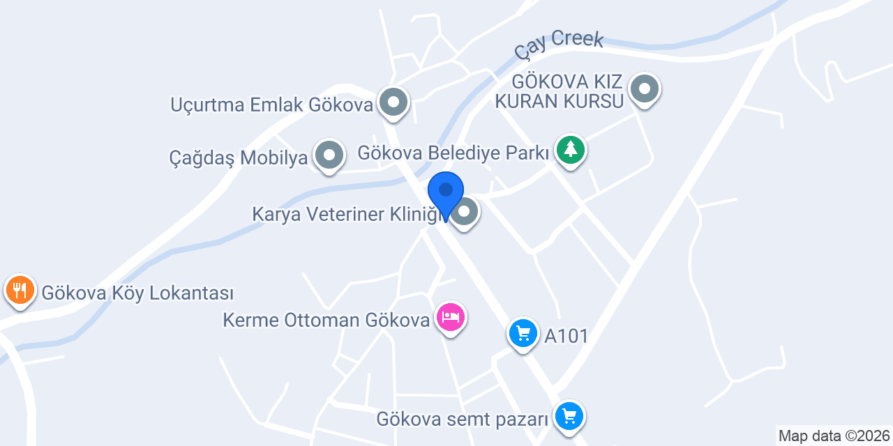 Prof.Dr. Şadan Gökovalı Kültür Evi konumu