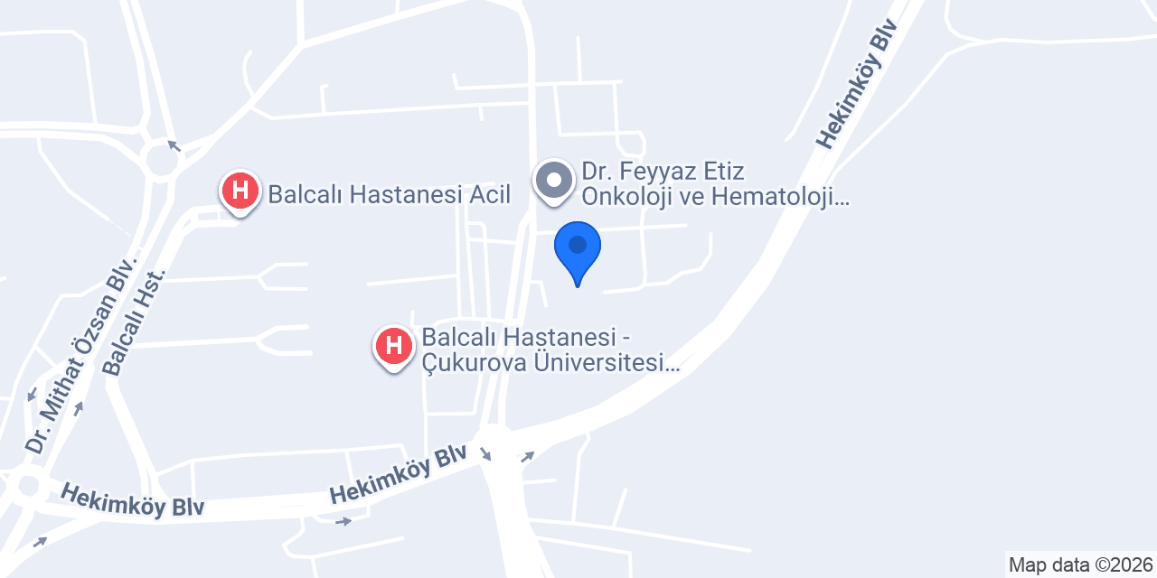Doç.Dr. Ayşe Nur Çakır Güngör konumu