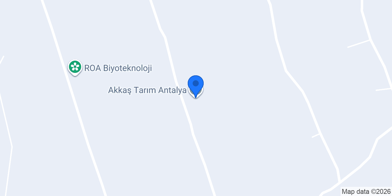 Akkaş Tarım Antalya konumu