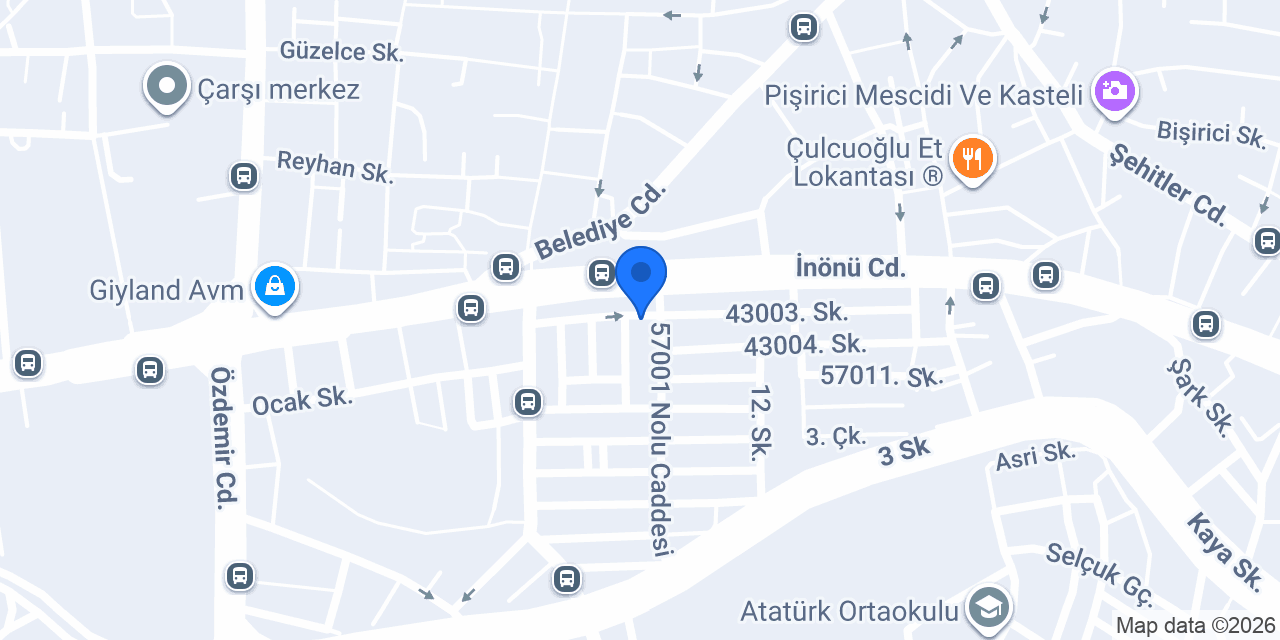 Erdoğan Teknik konumu