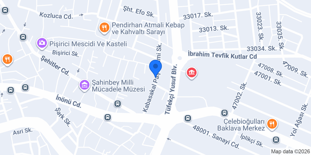 Vizyon oyuncak konumu