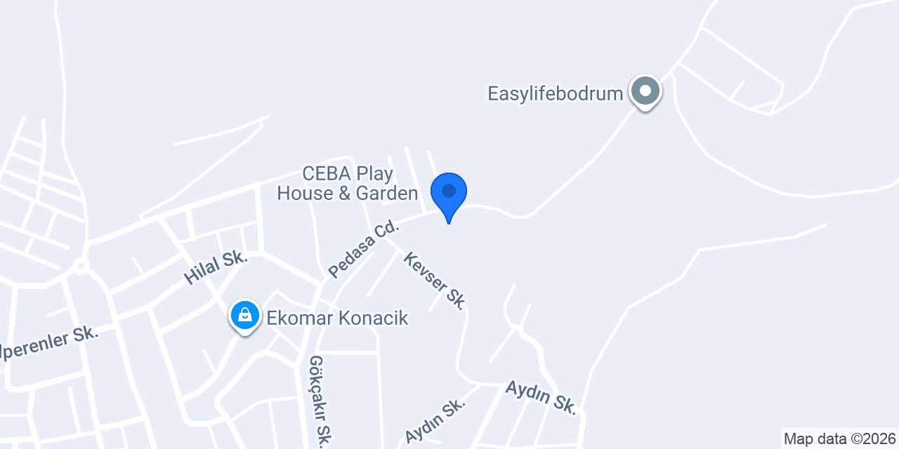 Bodrum BDR Kurye konumu