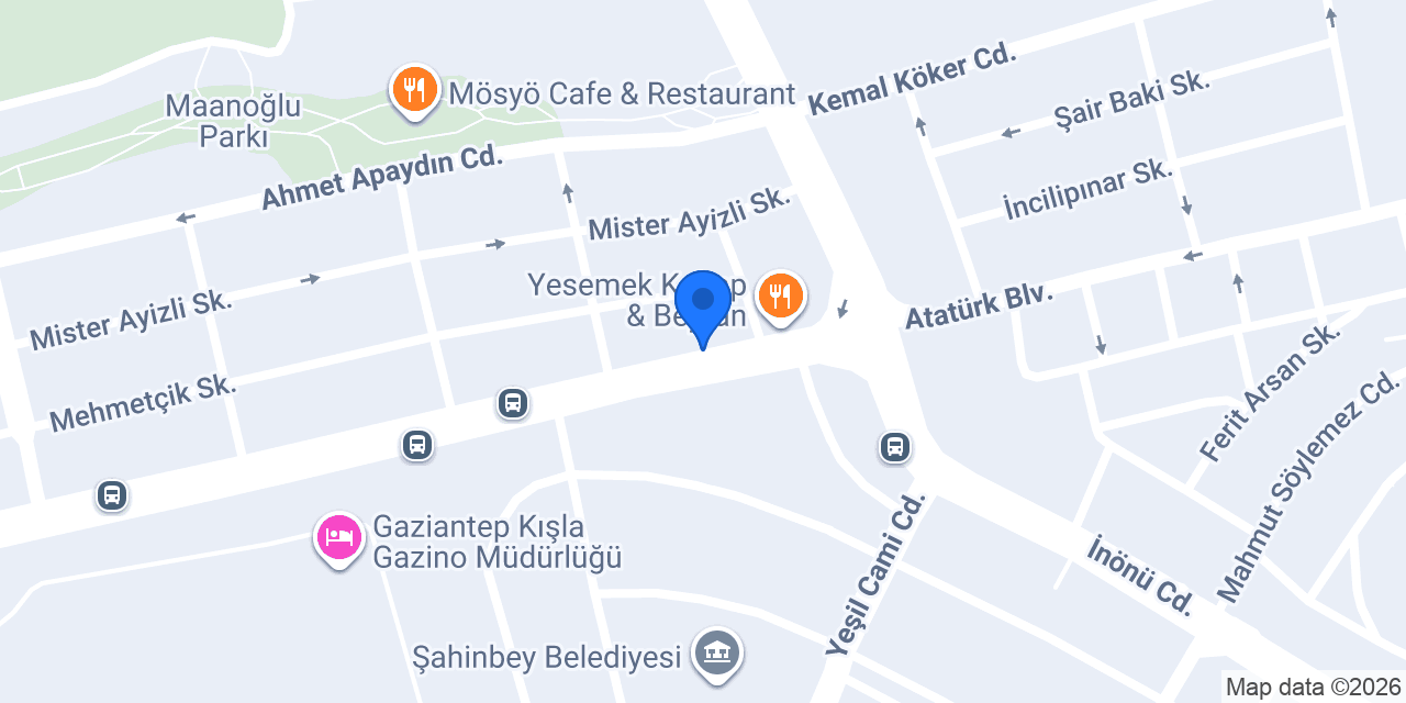 Bibi rent a car konumu