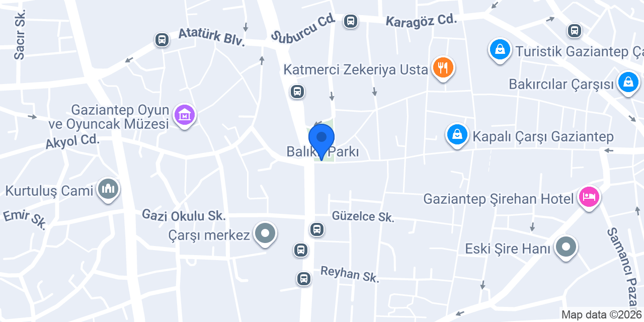 Terzi serdar ferace dikim evi konumu