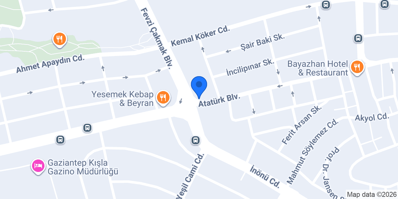 Bizon döner konumu
