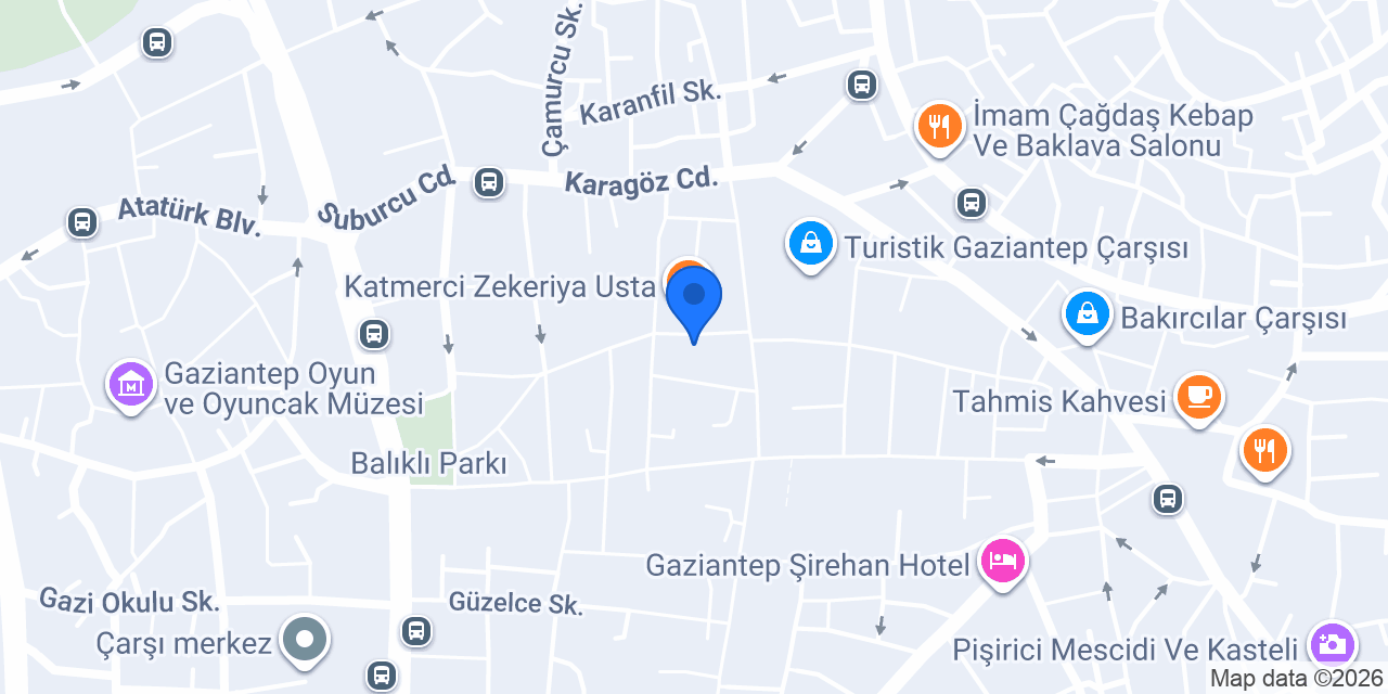 Zeki elektrik konumu