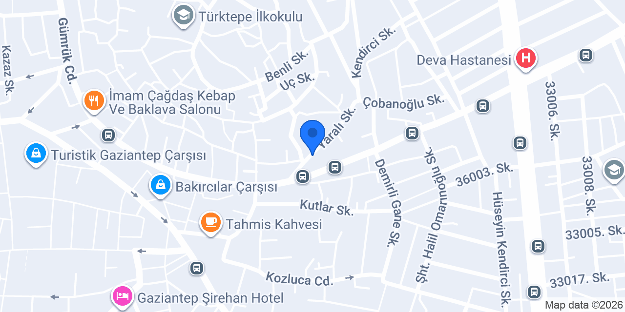 Ezgi Terzihanesi konumu