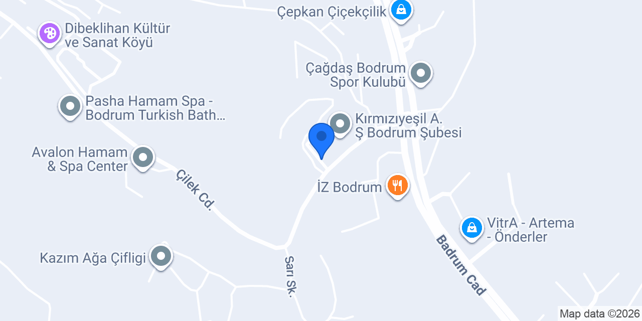 EFE ALKOLLÜ İÇECEKLER A. Ş. BODRUM konumu