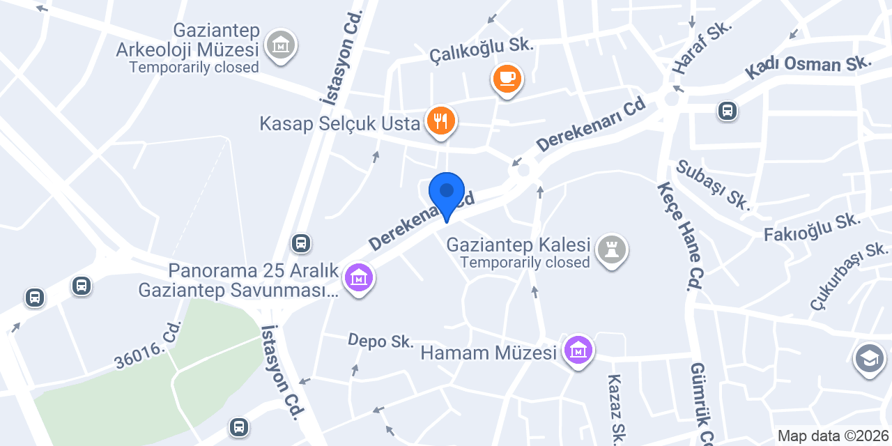 Löküs Ciğer konumu
