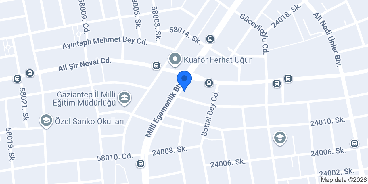 Ayintap Çiçek konumu