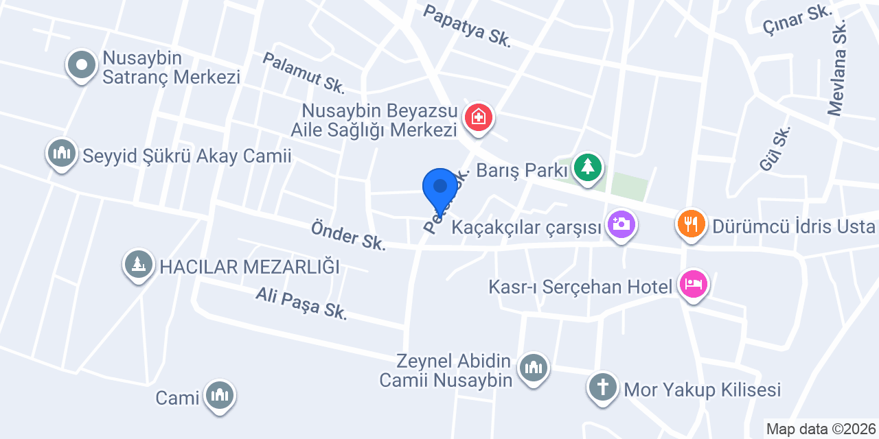 Nusaybin Emlak konumu
